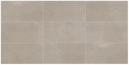 Classentino Marble Coliseum Gray Rectangle 12X24 Matte - cxh0qdyxkb2b9xiw5lzs@2x.jpg