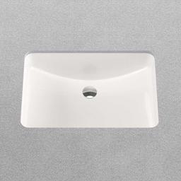 Norris 22-13/16" Rectangular Vitreous China Undermount Bathroom Sink with Overflow - cxnsm1gm44qf4qfvrx4z@2x.jpg
