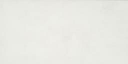 Cohesion White Rectangle 24X48 Polished - cydsxrmiqcp8ktyxyw86@2x.jpg
