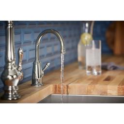 Wellspring 1.5 GPM Single Hole Cold Water Dispenser - cyxojnq7vr3xkxzrfenj@2x.jpg