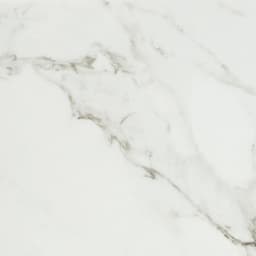 Platinum Magnolia Rectangle 12X24 Matte - czubc8jgcbu8ljvuwjzx@2x.jpg