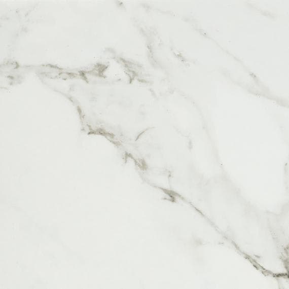 Platinum Magnolia Rectangle 12X24 Matte - czubc8jgcbu8ljvuwjzx@2x.jpg