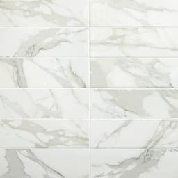 Platinum Magnolia Rectangle 12X24 Matte - d094l0ghqx2xprsmaoa5@2x.jpg