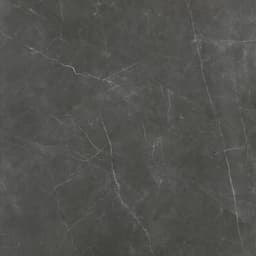 STERLINA II ASPHALT PL 24X24 - d8oiqqbudzyxqsbjcqpn@2x.jpg