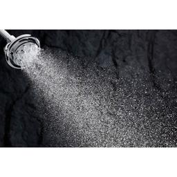 Flipside Multi-Function Hand Shower with Flipstream Technology - davmh52hlyr9zzhtbshf@2x.jpg