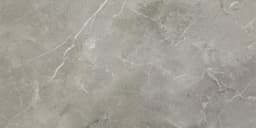 Platinum Dove Rectangle 12X24 Matte - dbymrjutnmxflcmq7r7u@2x.jpg