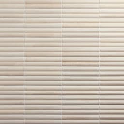 Remedy Tonic Rectangle, Fluted 2X10 Glossy - dcz1kmchtqww0tlxja06@2x.jpg