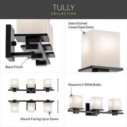 Tully 3 Light 24" Wide Vanity Light - dgnaapnfa5wl7g03fcih@2x.jpg