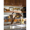 Camerist Single Handle Kitchen Faucet with Pullout Spray - djdjoldigtchfqyk1anw@2x.jpg
