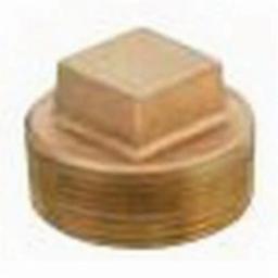 Plug, 1/8 in, MNPT, Lead Free Brass, Rough Brass - dk5kxnkdybp9mk8ma0i2@2x.jpg