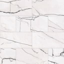 Gemma 12" x 24" Field Tile Polished in Bianca - dlltnp6bmpoj1wvuc66d@2x.jpg