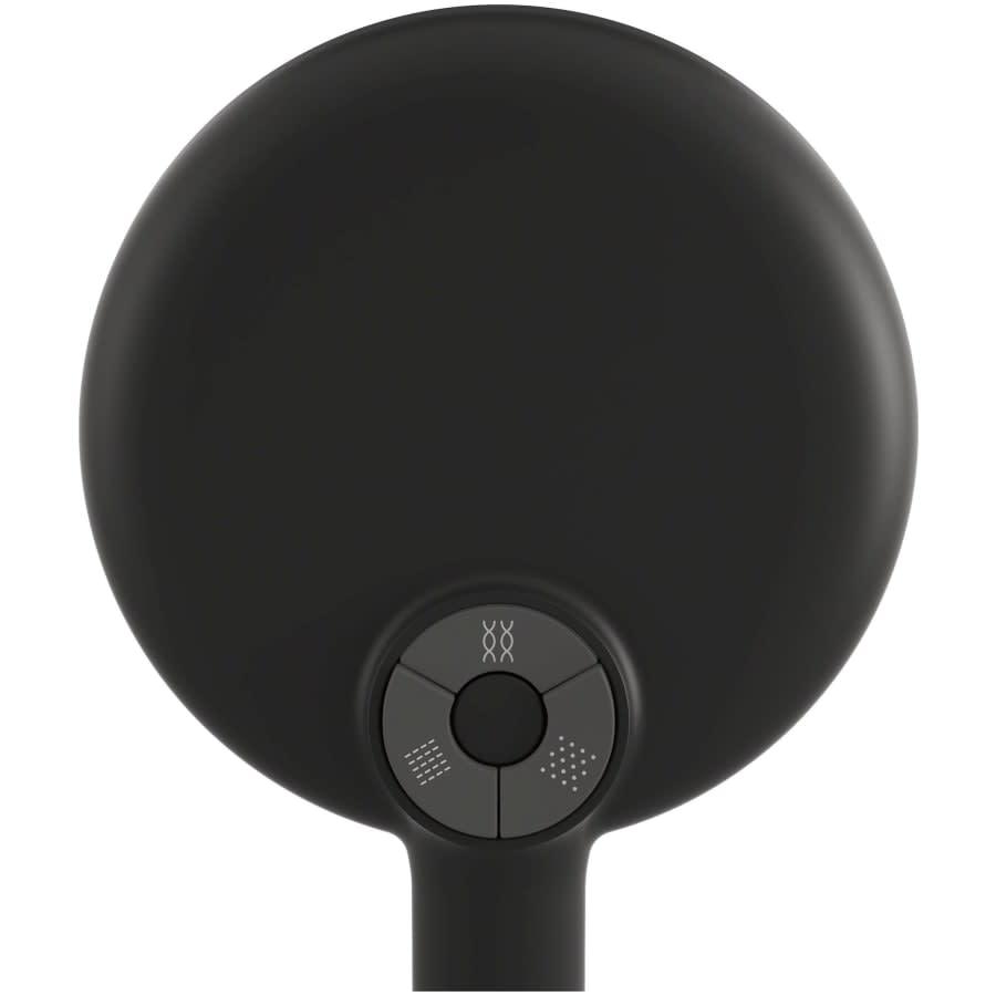 Statement 1.75 GPM Multi Function Hand Shower with MasterClean Sprayface and Katalyst Air Induction Technology - dnjfuree5blzcxdhp2ol@2x.jpg