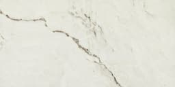 Foyer Summit Rectangle 12X24 Polished - dojwygqiakzpn8vvwzzf@2x.jpg