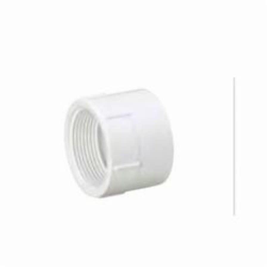 Female Adapter, 1-1/2 in, FNPT x Hub, DWV, PVC - dpao04serrli8o2wzrbg@2x.jpg