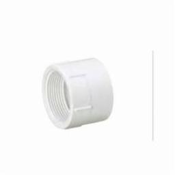 Female Adapter, 1-1/2 in, FNPT x Hub, DWV, PVC - dpao04serrli8o2wzrbg@2x.jpg