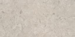 Forgehaus Terra Rectangle 12X24 Matte - dpaugojnfkkt7kzkdi2f@2x.jpg