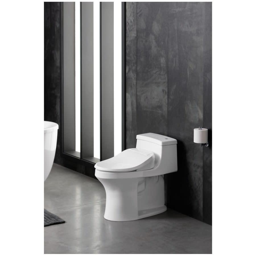 PureWash E525 Elongated Bidet Seat with Continuously Heated Water, Automatically UV Light Self-Cleaning Stainless Steel Wand, Front and Rear Wash Modes, Adjustable Water Temperature and Pressure, Quiet-Close, and Quick-Release Technologies - dpeltiporxj0tvwufmfv@2x.jpg