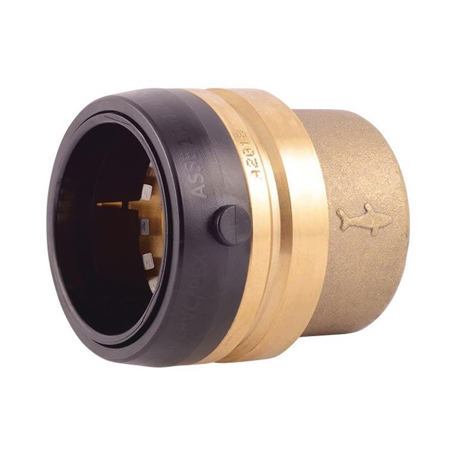 Cap, 1-1/2 in, Push, Brass - dpolbezqmwsbwsmv6bck@2x.jpg