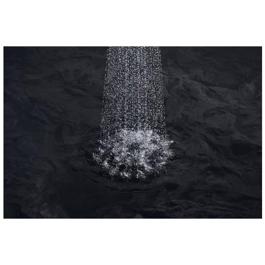 Awaken 1.5 GPM Single Function Shower Head - droyzbf5q5ixw2nkmiga@2x.jpg