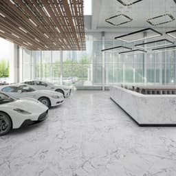 White Jade - druib2ejgjgdc0s6o91y@2x.jpg