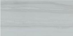 SERPENTINO GRIS 12X24 - drvktlohstv620dzidho@2x.jpg
