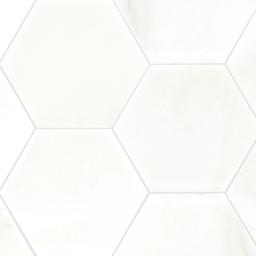 Greecian White 8" Hexagon Polished - drxo6qejxsvgvknwv3b4_800x500@2x.jpg