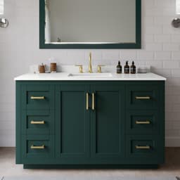 Miranda Single Bathroom Vanity - 54W x 33.75H x 22D - ds8hetflox3c71zgtjic@2x.jpg