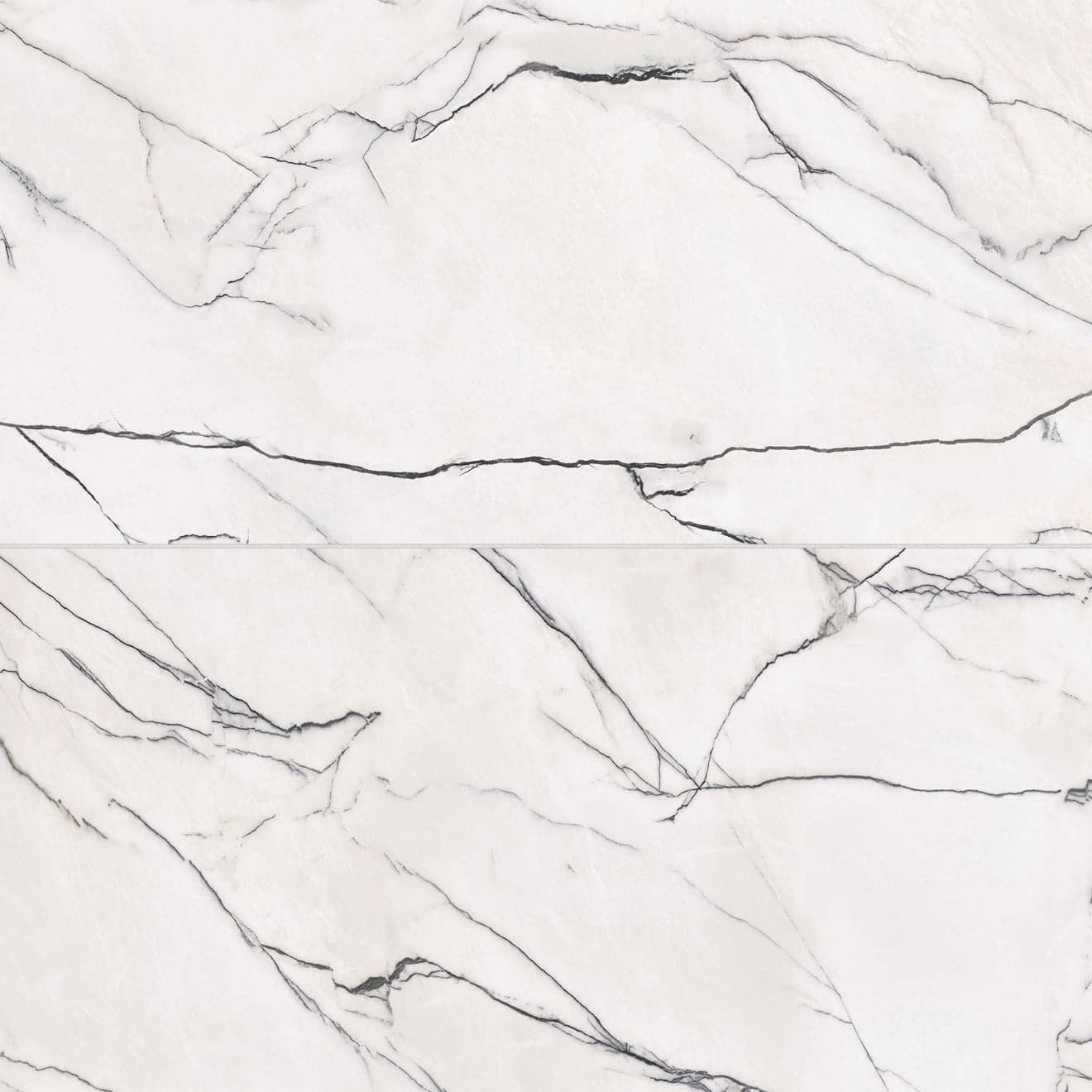 Gemma 24" x 48" Honed Porcelain Field Tile in Bianca