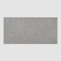 Ikonite 12" x 24" Honed Porcelain Field Tile in Grey - dssqfw9fbkpmuqxpetkt@2x.jpg