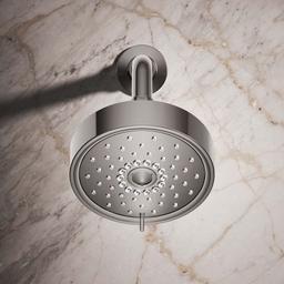 Purist 2.5 GPM Multi Function Shower Head with MasterClean and Katalyst Air-Induction Spray Technology - dtltb1ruyswy8d7rivza@2x.jpg