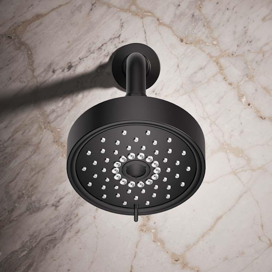 Purist 2.5 GPM Multi Function Shower Head with MasterClean and Katalyst Air-Induction Spray Technology - dtrexqev0eiymb9etwxz@2x.jpg