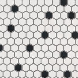Black And White 1” Hexagon Mosaic Tile - duqvea3r882r4dgpmf8k@2x.jpg