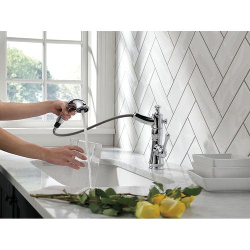 Cassidy Pull-Out Kitchen Faucet - Includes Lifetime Warranty - dv5vxcivcvp73h8tmhob_x500.jpg