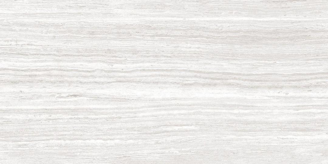 TREVI SILVER 12X24 - dvkd5zkxfkb5uux2cgly@2x.jpg