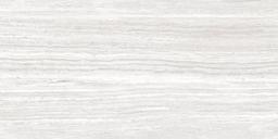 TREVI SILVER 12X24 - dvkd5zkxfkb5uux2cgly@2x.jpg