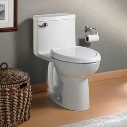 Cadet 3 Elongated Compact One-Piece Toilet with EverClean Surface and Right Height Bowl - Includes Slow-Close Seat - dw8xeqh0he0j9iume4ck_x500.jpg