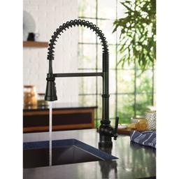Paterson 1.5 GPM Single Hole Pre-Rinse Pull Down Kitchen Faucet with Power Boost - dwzuiejtgyythghvqvcj@2x.jpg