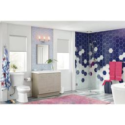 2-piece 1.1 GPF/1.6 GPF High Efficiency Dual Flush Complete Elongated Toilet in White, Seat Included - dxlltfylm5otpntpemkx@2x.jpg