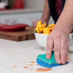 Scrunge Multi-Use No Scratch Sponge (8 Sponges) - dxutyugqyfk86vcb3blf@2x.jpg