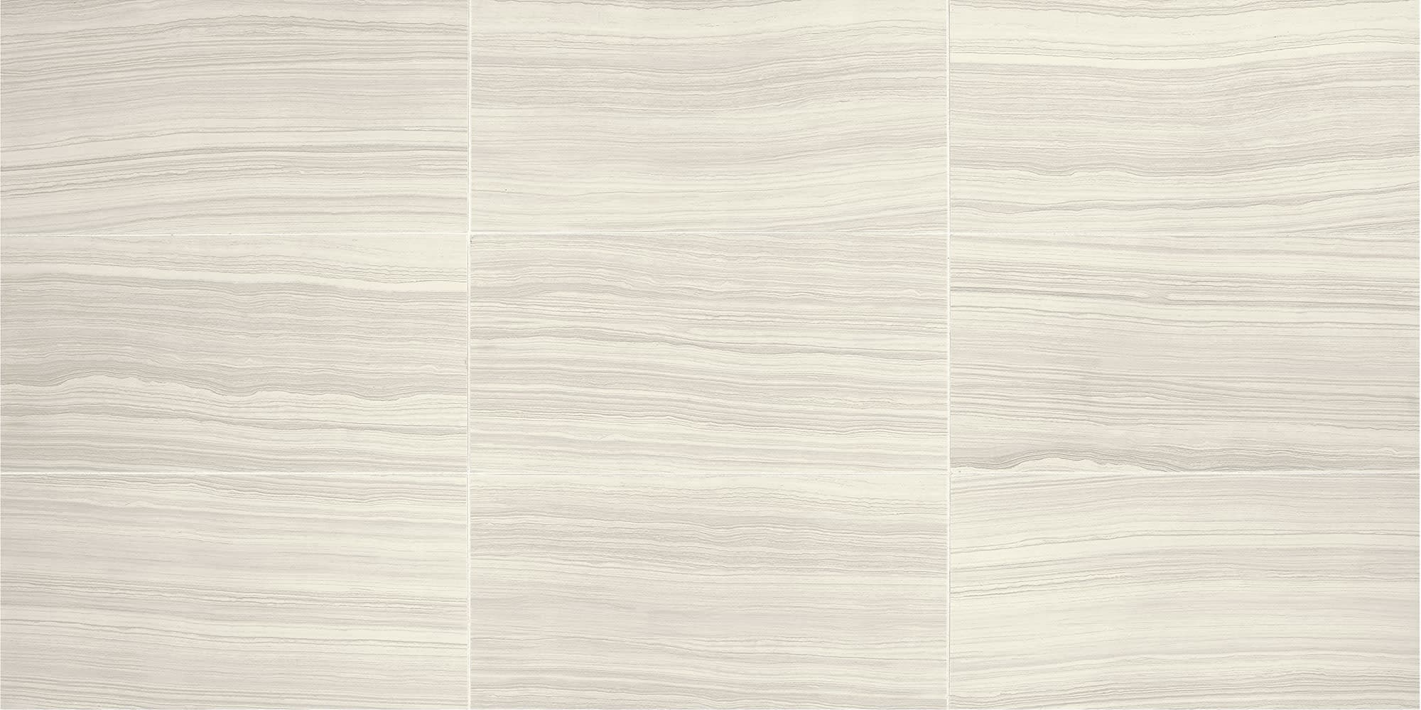 Santino Bianco Puro Rectangle 12X24 Matte - e01e18mdf5d6goknxd32@2x.jpg