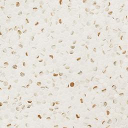 Calacatta Gold Matte Round - e0hkhhtqakxp5fvar2mb@2x.jpg