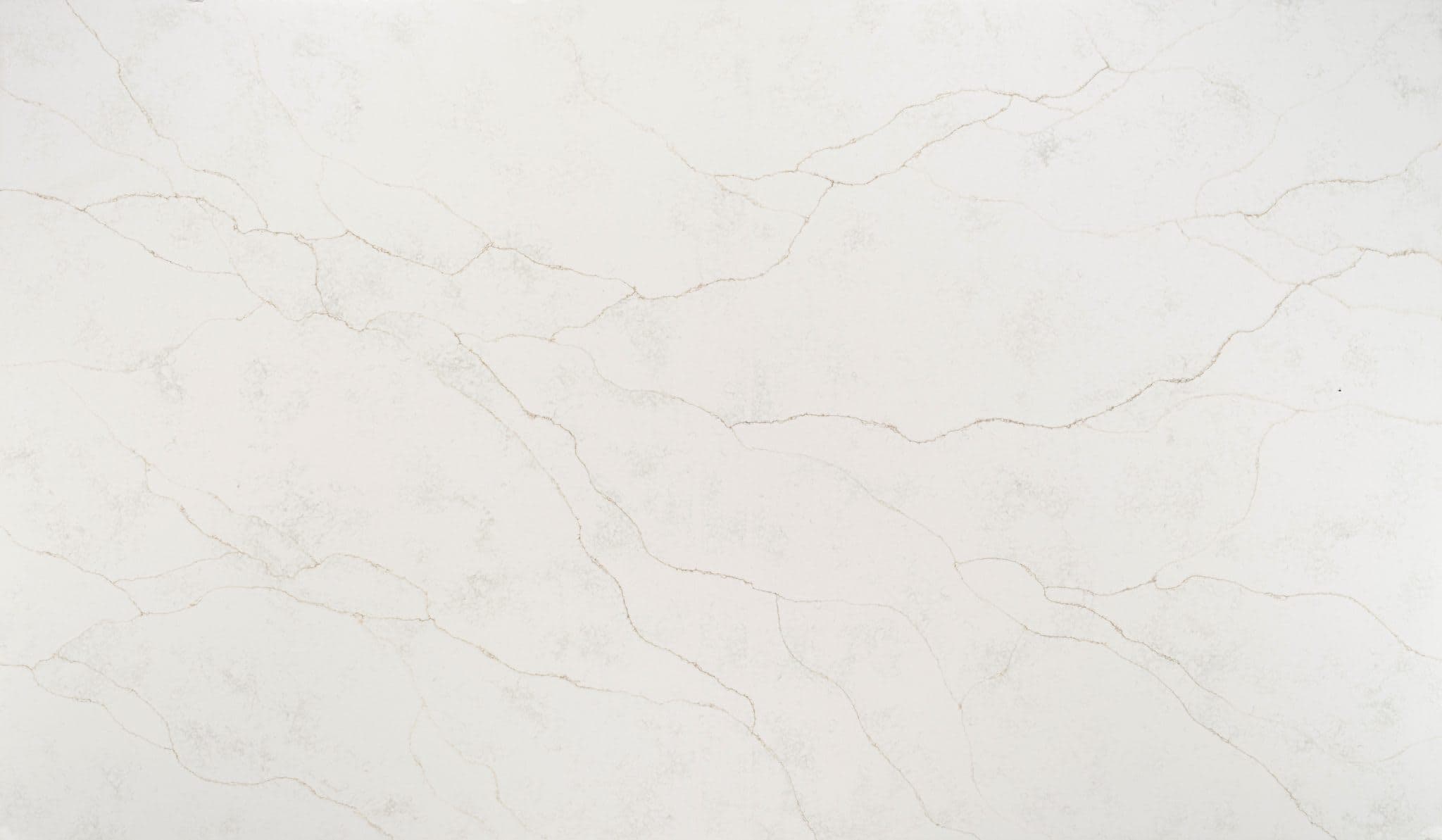 Regal d'Oro Super Jumbo