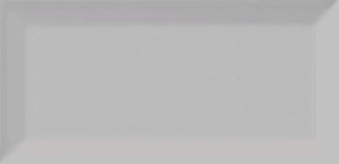 BG TENDER GRAY 4X10 BEVELED - e3dlxumuao1rbk5wnw0e@2x.jpg