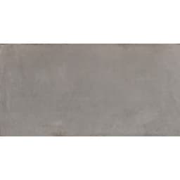 COGENT GRAY 16X31 - e4ovyu0ess1y29ipkdvw@2x.jpg