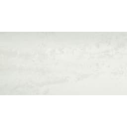 PRODIGY AGNESI MT 12X24 - e5wfqrwhtcbpetvbxnhn@2x.jpg
