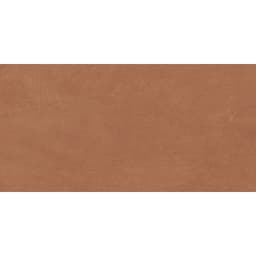 CLAYTONE TERRA R11 12X24 - e5zjsug4d3jk94az7rcm@2x.jpg