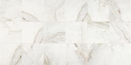 Marble Daphne White Rectangle 12X24 Honed - e6iohzjyzuwmyuah8pdo@2x.jpg