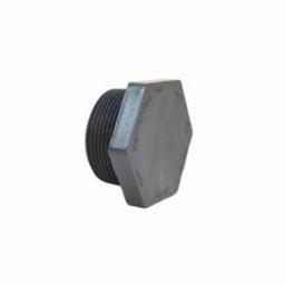 Plug, 3/4 in, MNPT, SCH 80/XH, PVC - e6jpa1ysvzv2yajs4ney@2x.jpg