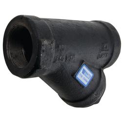 77SI Strainer, 2 in, FNPT, Cast Iron - e6qnzhjsvhgrx1efeckf@2x.jpg
