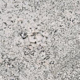 Saddle White - e8bkvy6kzycflulcudcd@2x.jpg